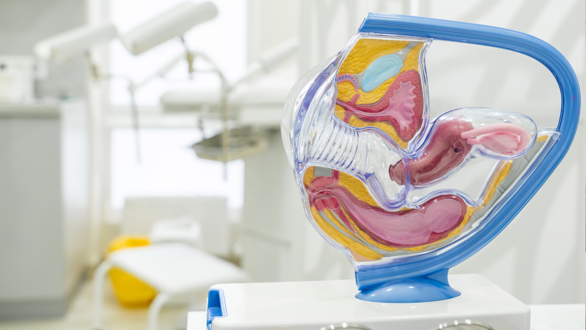 fallopian tubes Υπερηχογραφική Σαλπιγγογραφία (HyFoSy)