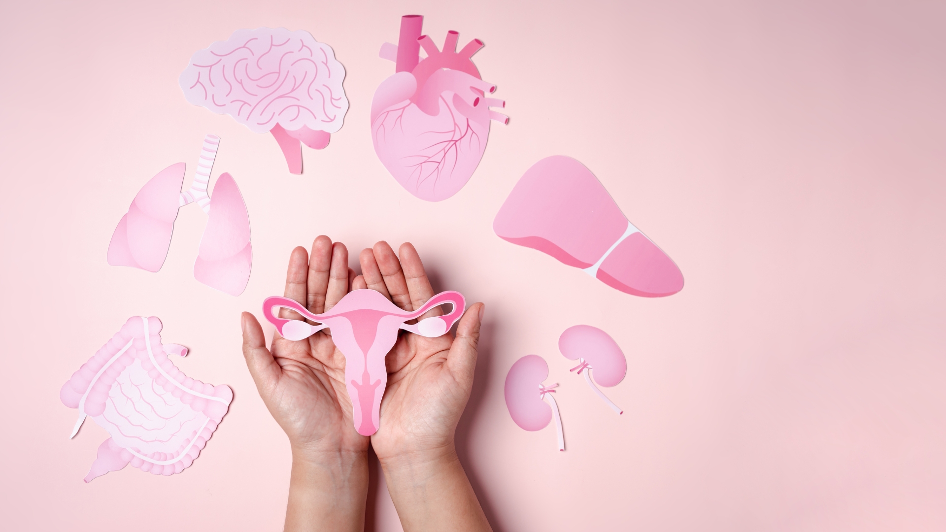 pcos Σύνδρομο Πολυκυστικών Ωοθηκών (PCOS)